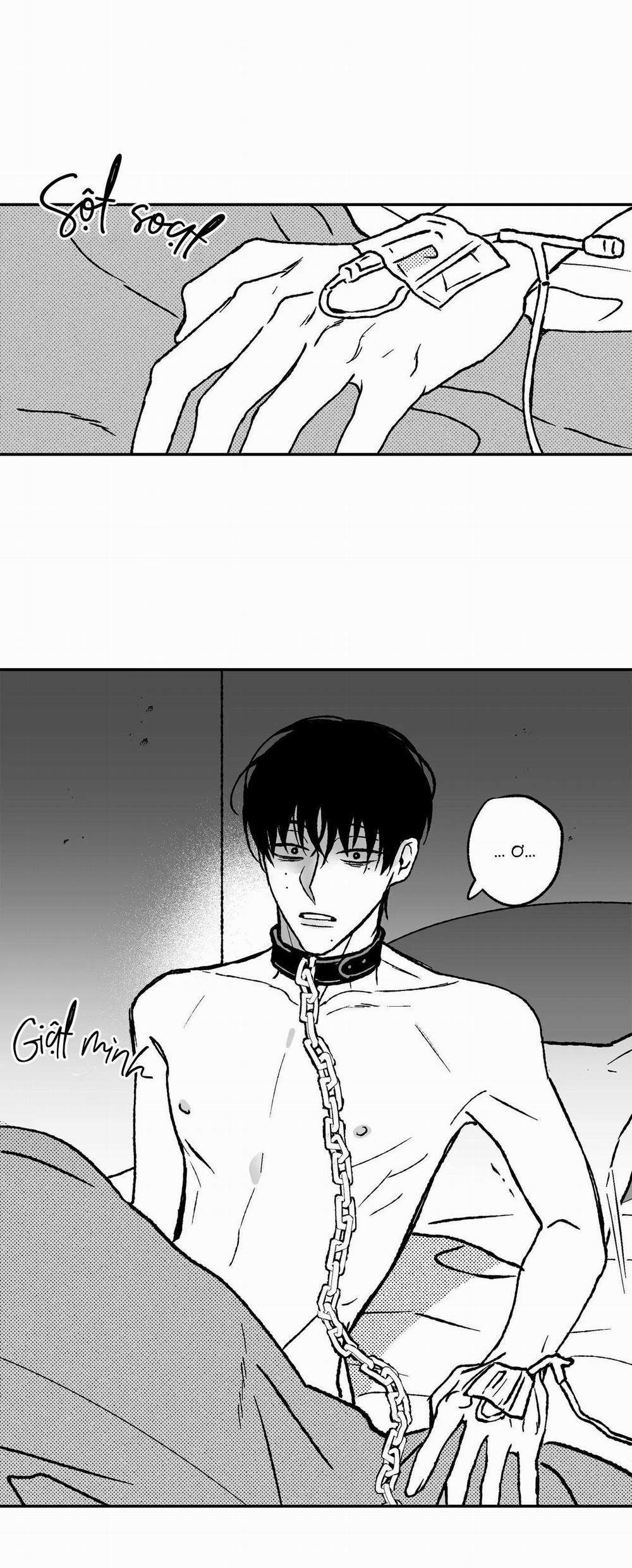 (Cbunu) Sự Kết Hợp Hoàn Hảo 28 trang 7