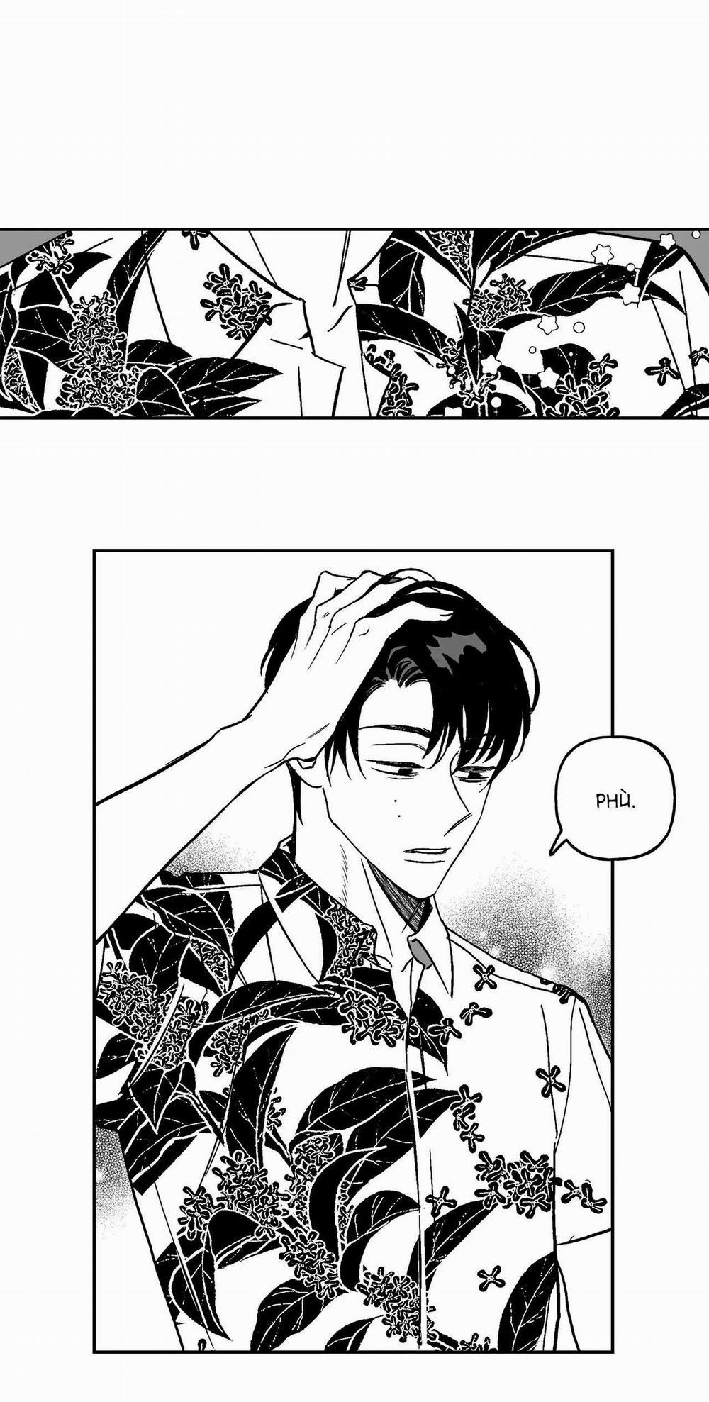 (Cbunu) Sự Kết Hợp Hoàn Hảo 29 trang 10