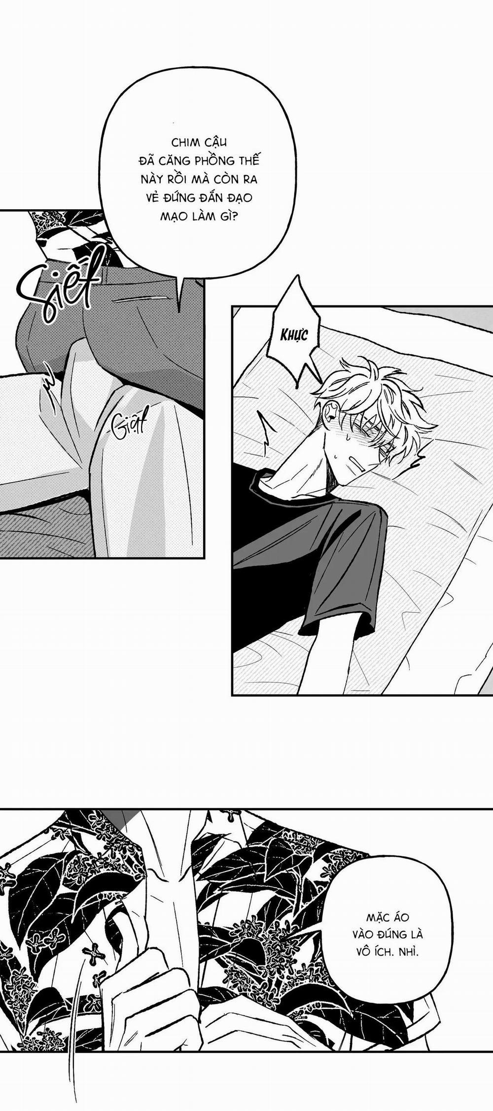 (Cbunu) Sự Kết Hợp Hoàn Hảo 30 trang 3