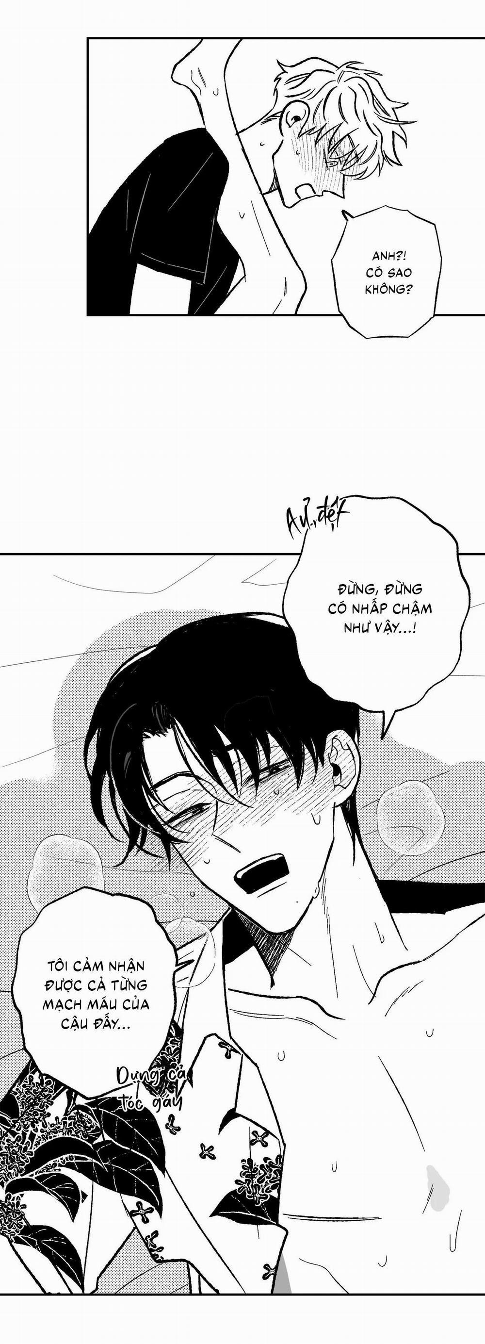 (Cbunu) Sự Kết Hợp Hoàn Hảo 32 H+ trang 11