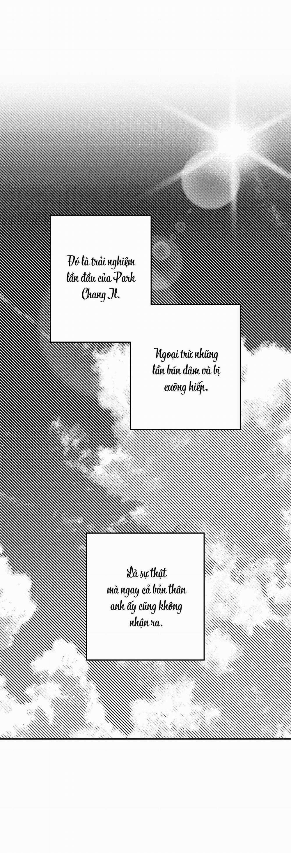 (Cbunu) Sự Kết Hợp Hoàn Hảo 33 trang 0