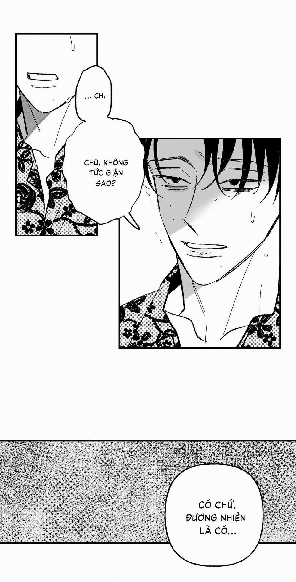 (Cbunu) Sự Kết Hợp Hoàn Hảo 36 trang 5