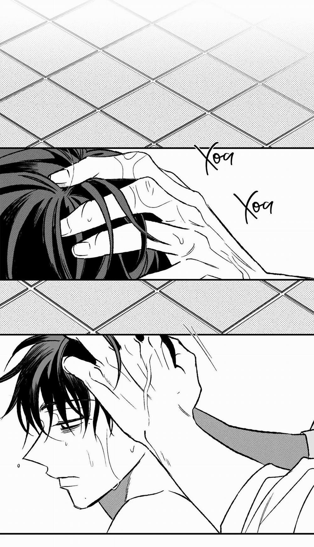 (Cbunu) Sự Kết Hợp Hoàn Hảo 37 trang 1