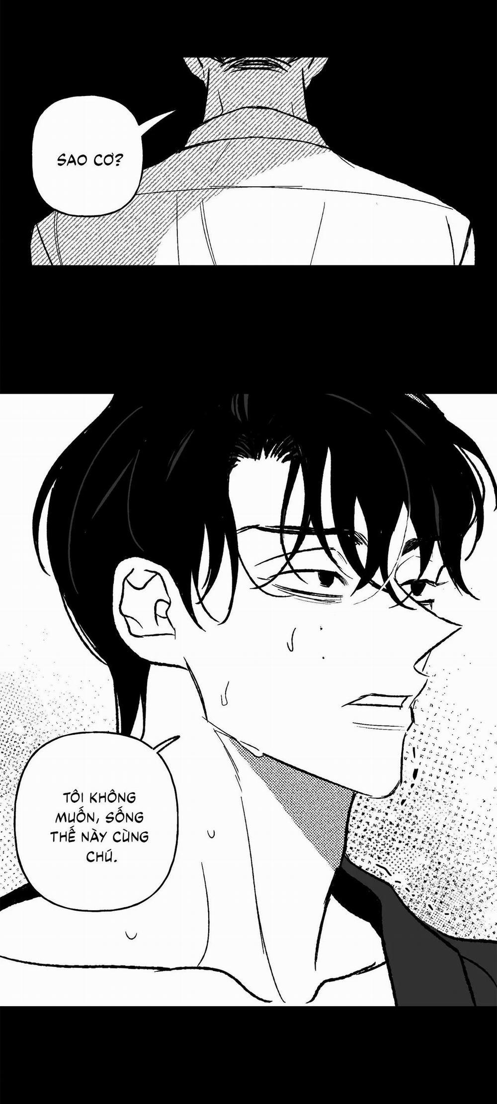 (Cbunu) Sự Kết Hợp Hoàn Hảo 37 trang 19