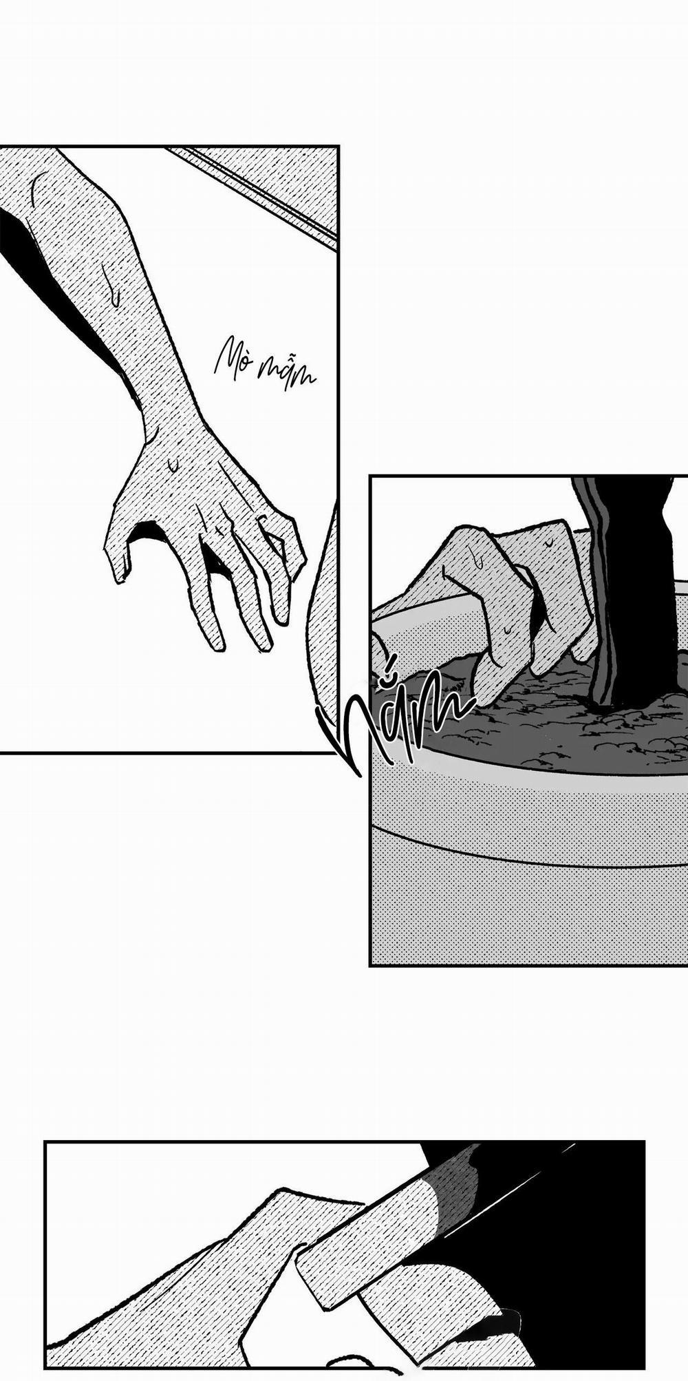 (Cbunu) Sự Kết Hợp Hoàn Hảo 38 trang 10