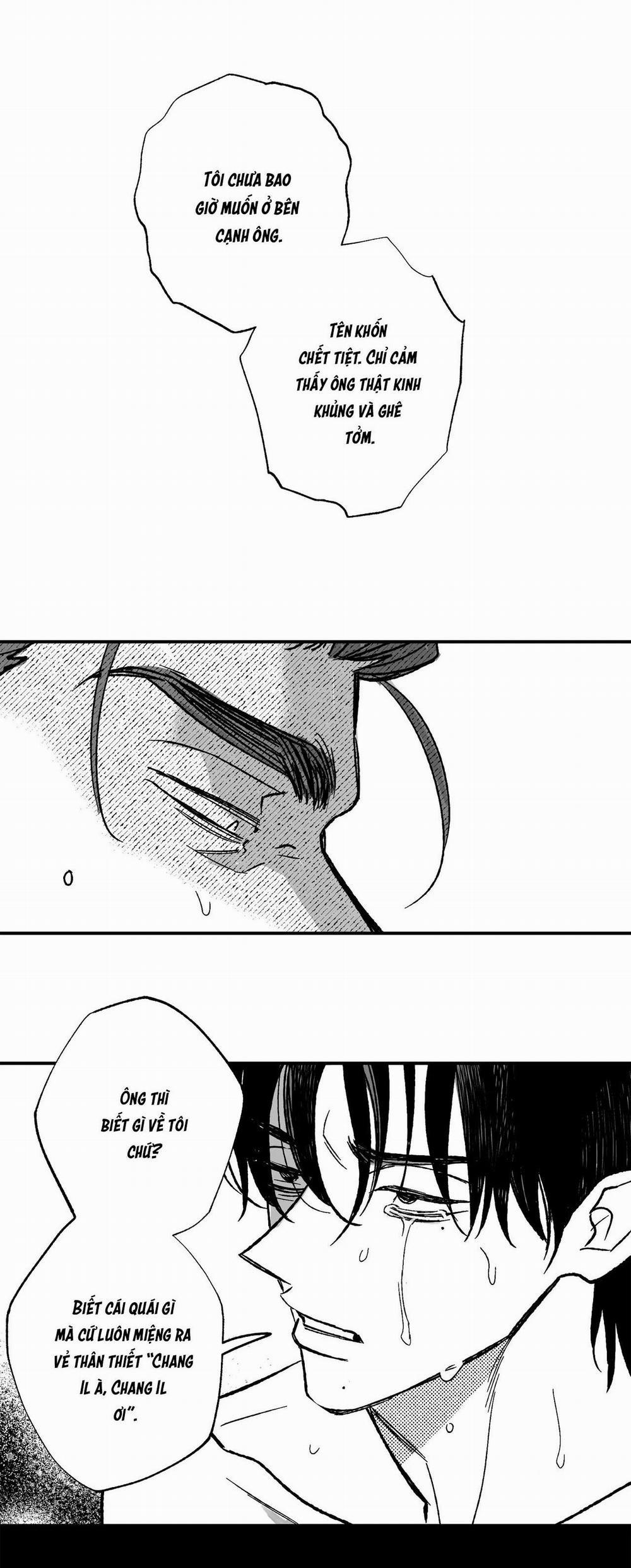 (Cbunu) Sự Kết Hợp Hoàn Hảo 38 trang 6