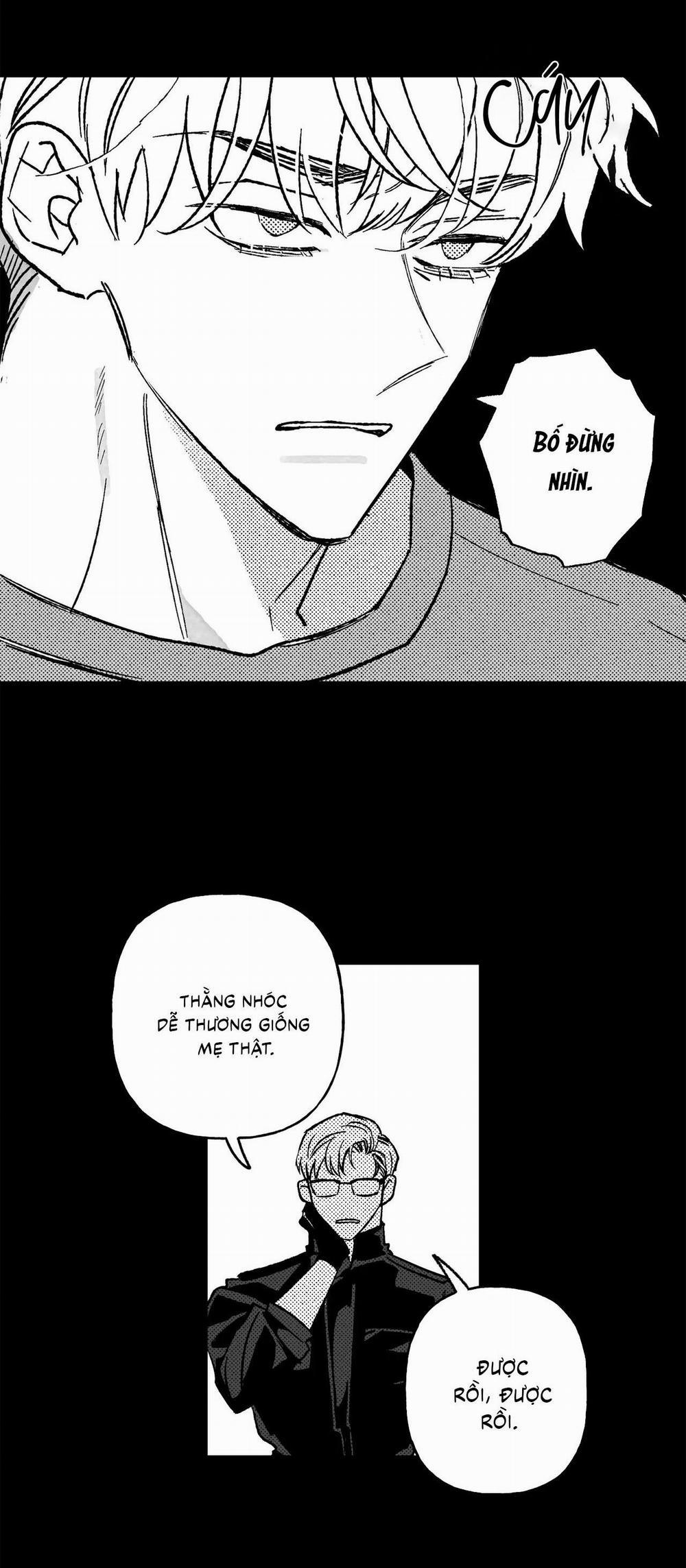 (Cbunu) Sự Kết Hợp Hoàn Hảo 39 trang 12