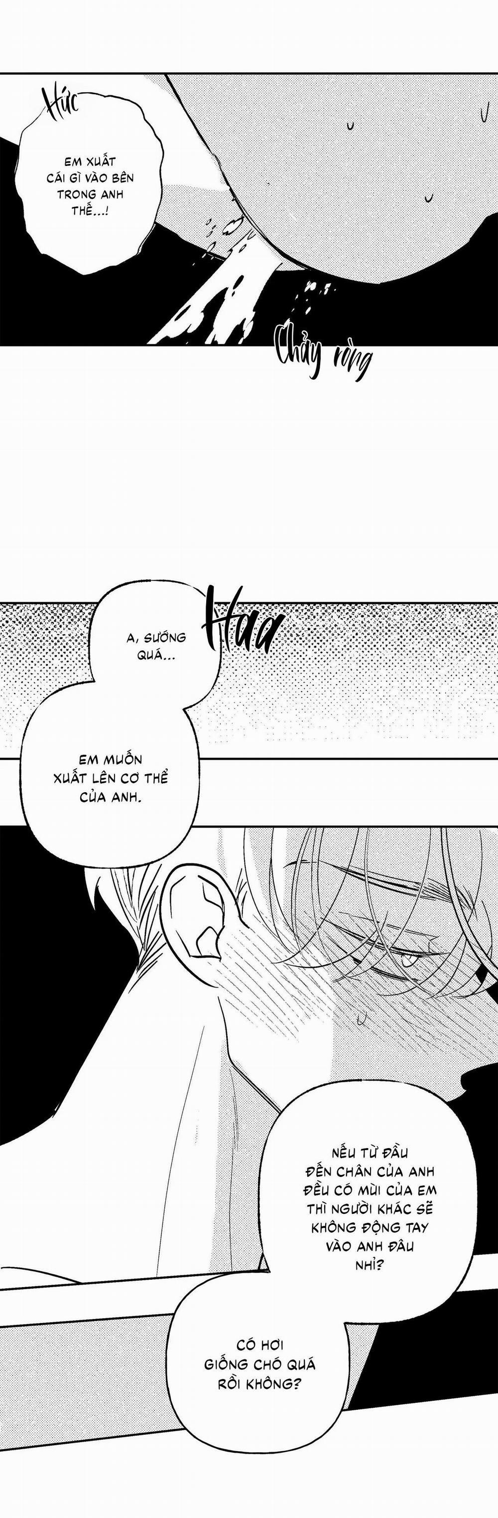 (Cbunu) Sự Kết Hợp Hoàn Hảo 47 End Sidestory trang 18