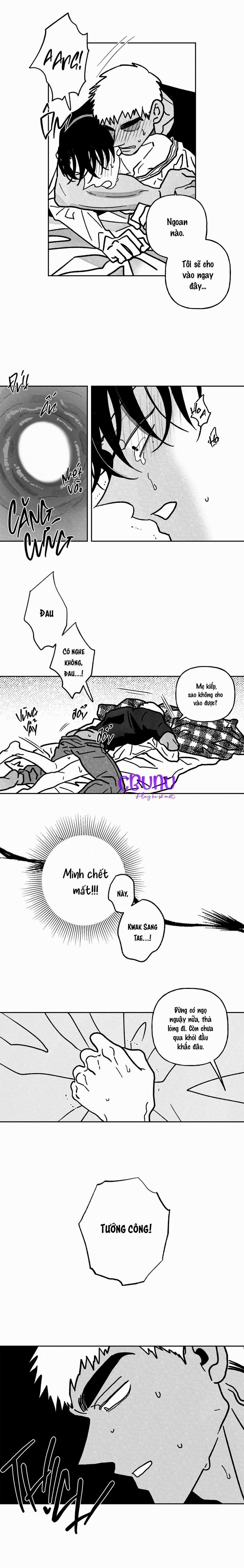 (Cbunu) Sự Kết Hợp Hoàn Hảo 8 trang 8