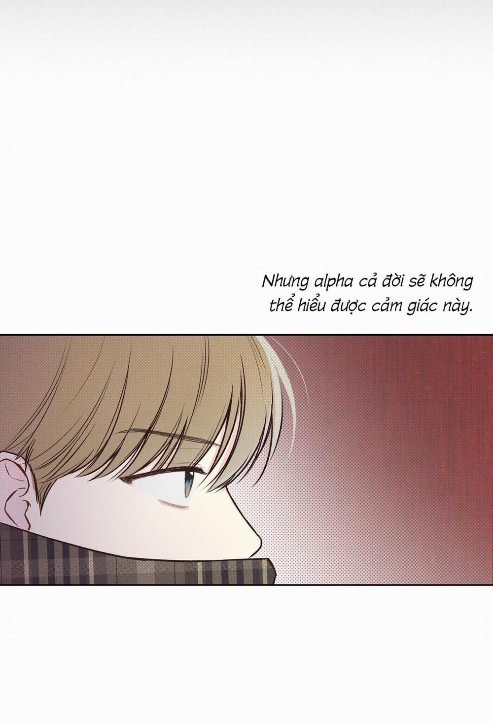 (Cbunu) Tháng 12 2 trang 10