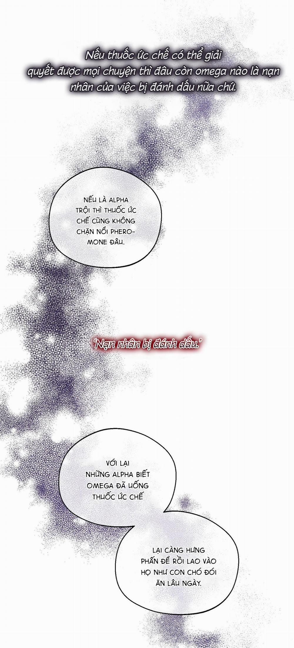 (Cbunu) Tháng 12 2 trang 14