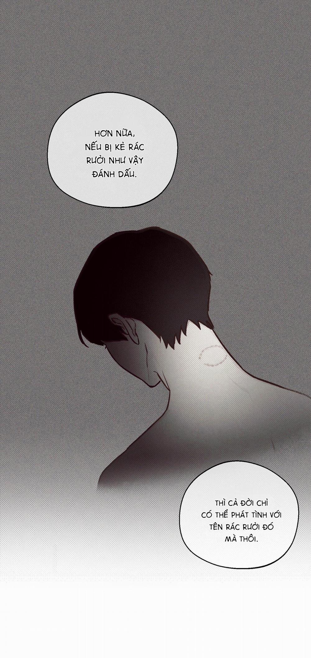 (Cbunu) Tháng 12 2 trang 6