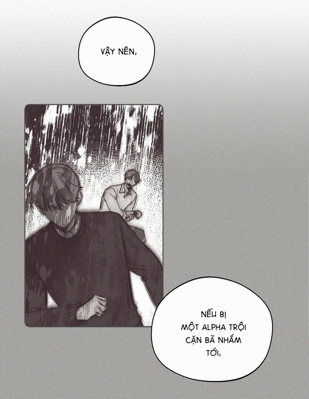 (Cbunu) Tháng 12 2 trang 8