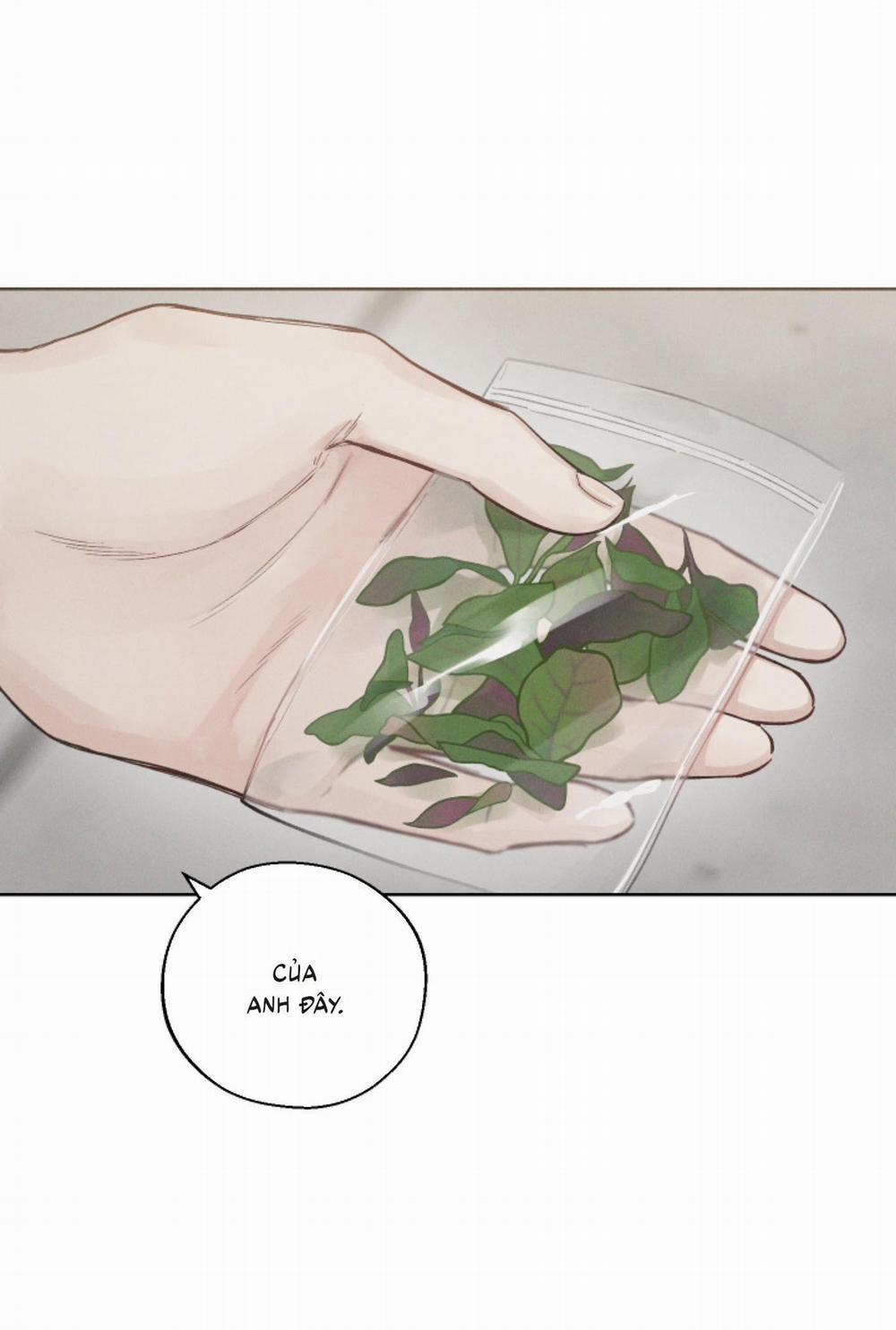 (Cbunu) Tháng 12 26 trang 21