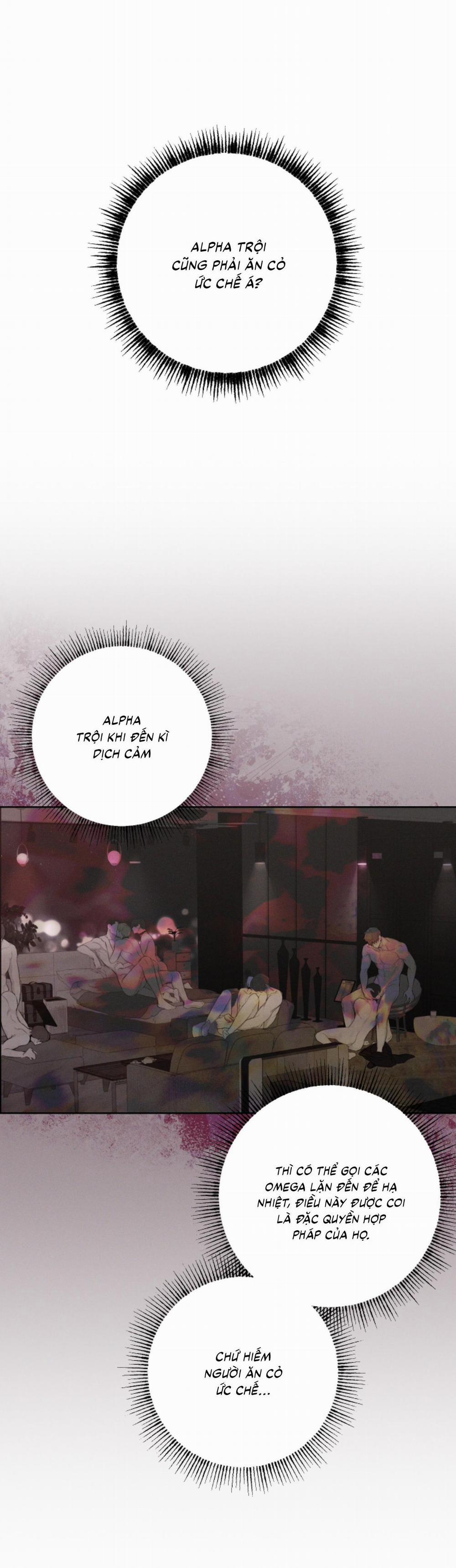 (Cbunu) Tháng 12 26 trang 29