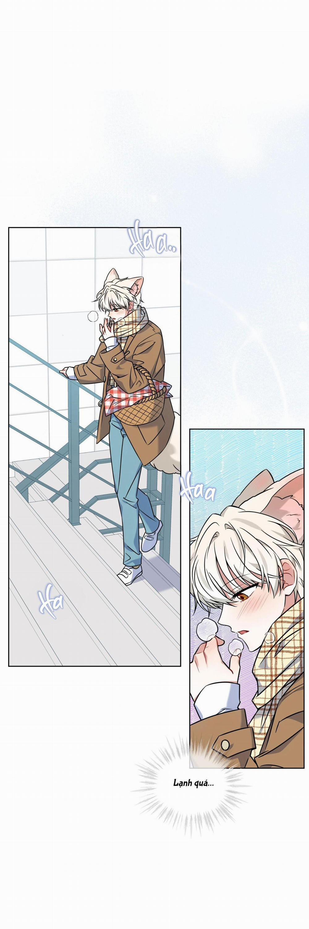 (Cbunu) Tiệm Đồ Uống Của Cáo Flynn 11 trang 1