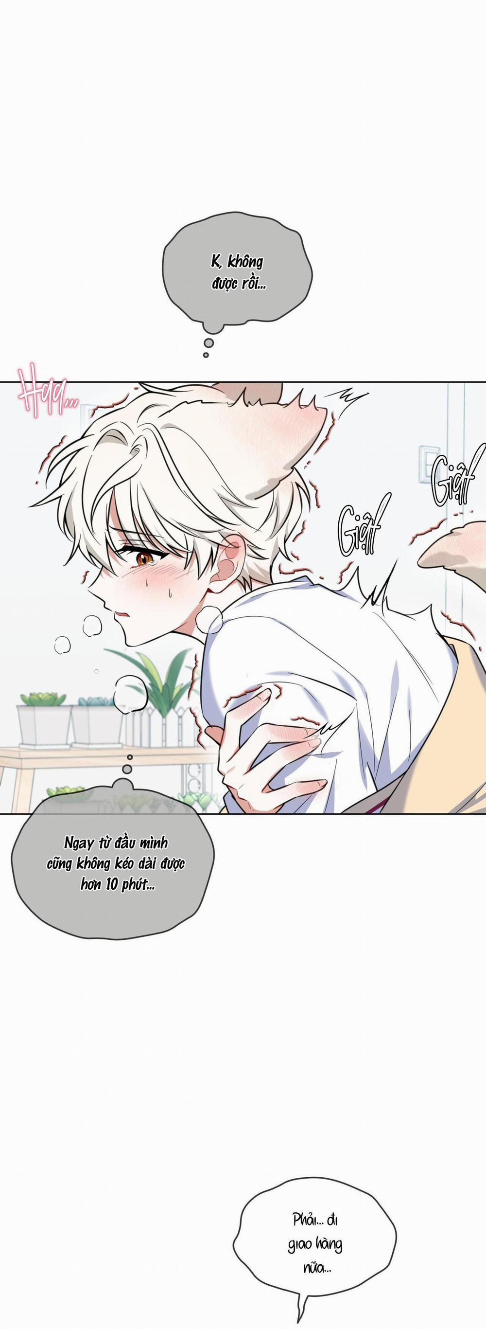 (Cbunu) Tiệm Đồ Uống Của Cáo Flynn 2 trang 13