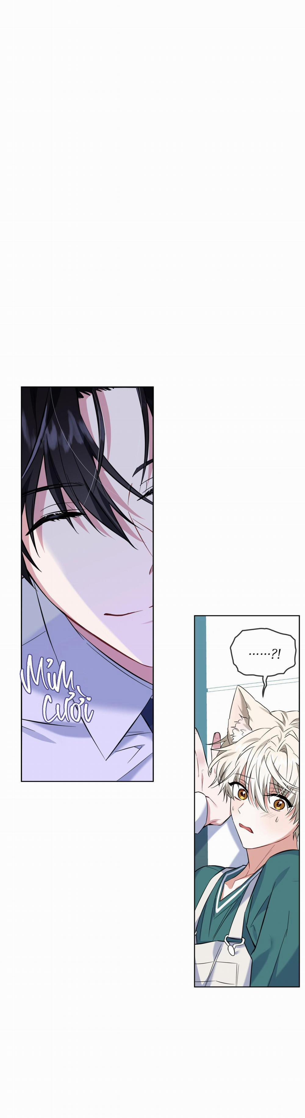 (Cbunu) Tiệm Đồ Uống Của Cáo Flynn 3 trang 0