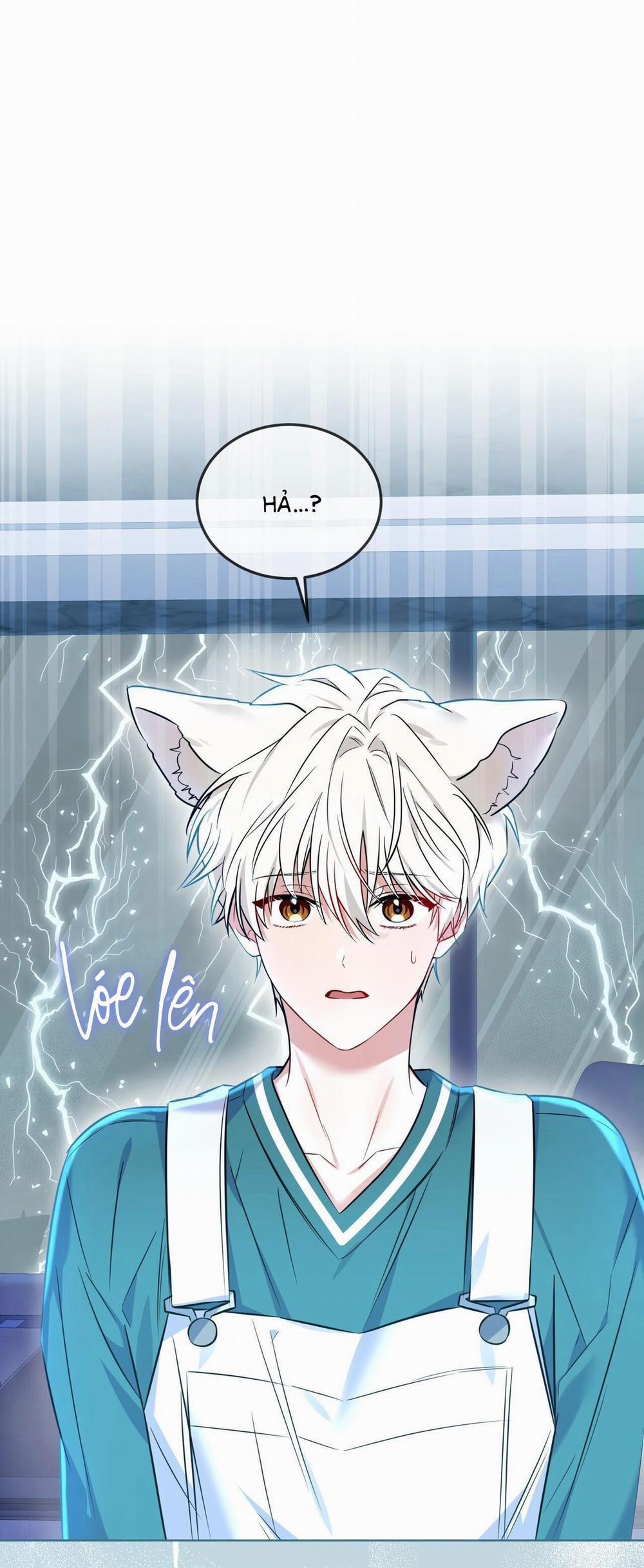 (Cbunu) Tiệm Đồ Uống Của Cáo Flynn 4 trang 0