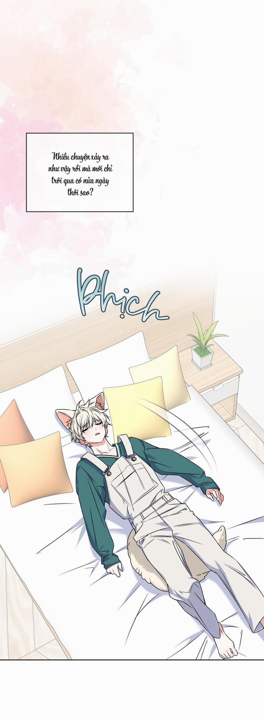 (Cbunu) Tiệm Đồ Uống Của Cáo Flynn 6 trang 3