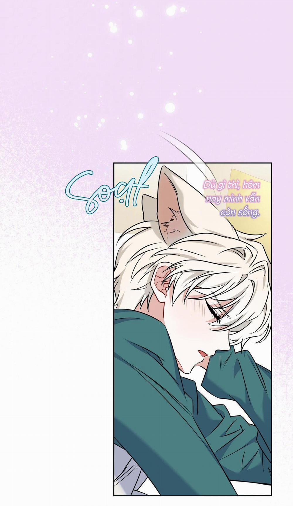 (Cbunu) Tiệm Đồ Uống Của Cáo Flynn 6 trang 6