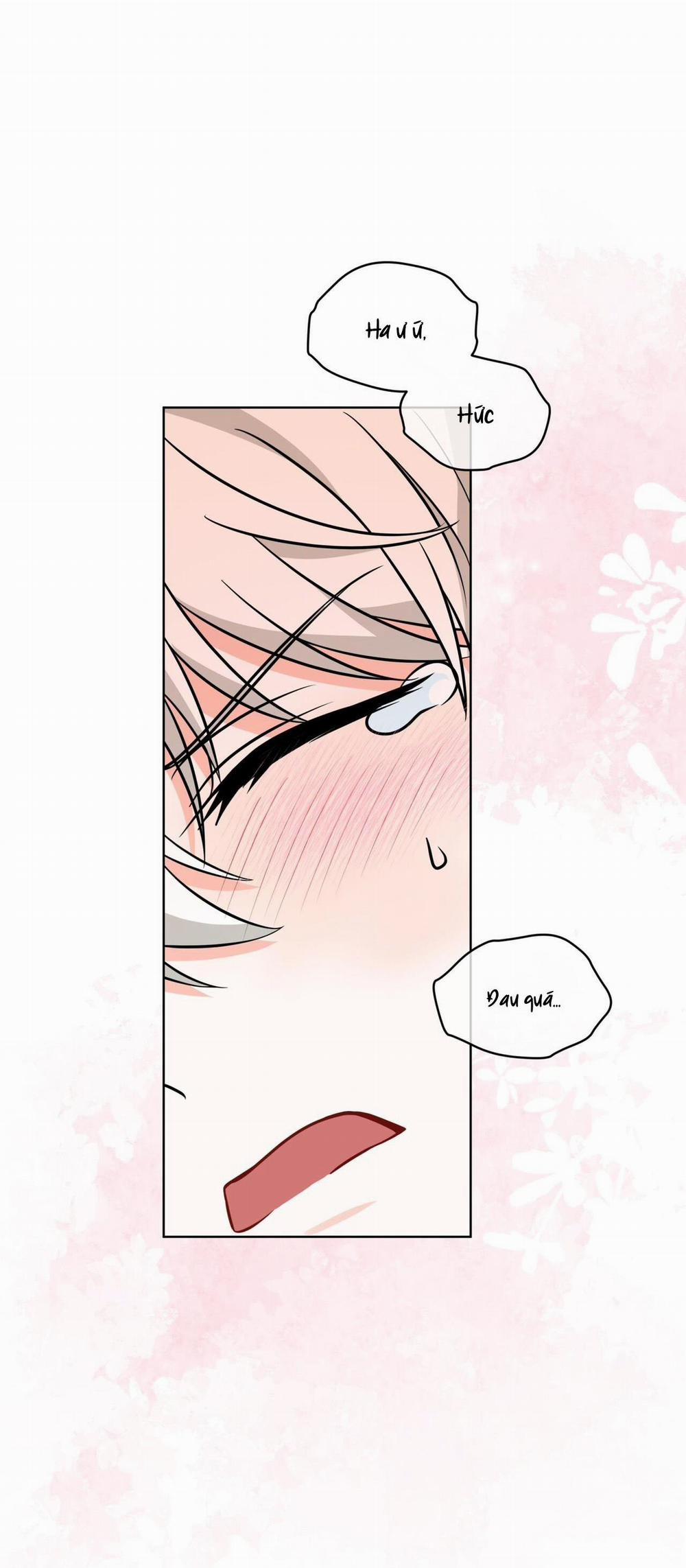 (Cbunu) Tiệm Đồ Uống Của Cáo Flynn 9 trang 6