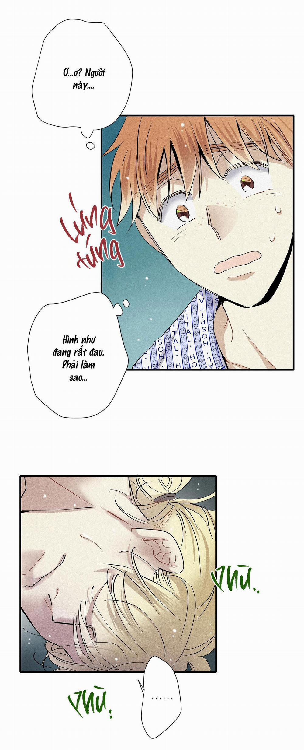 (Cbunu) Tình Yêu Và Danh Vọng 46 trang 17