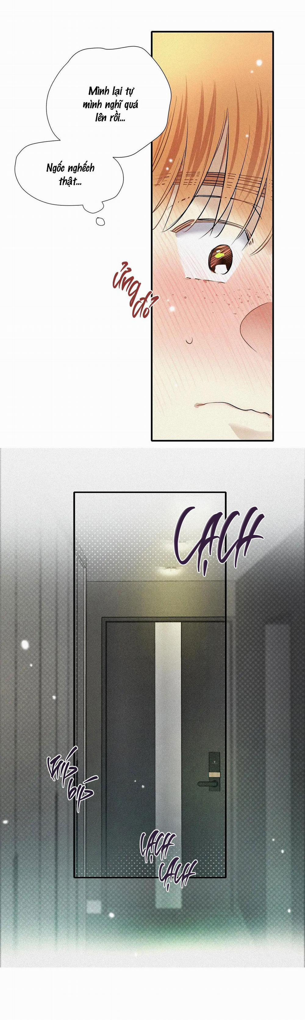 (Cbunu) Tình Yêu Và Danh Vọng 47 trang 17