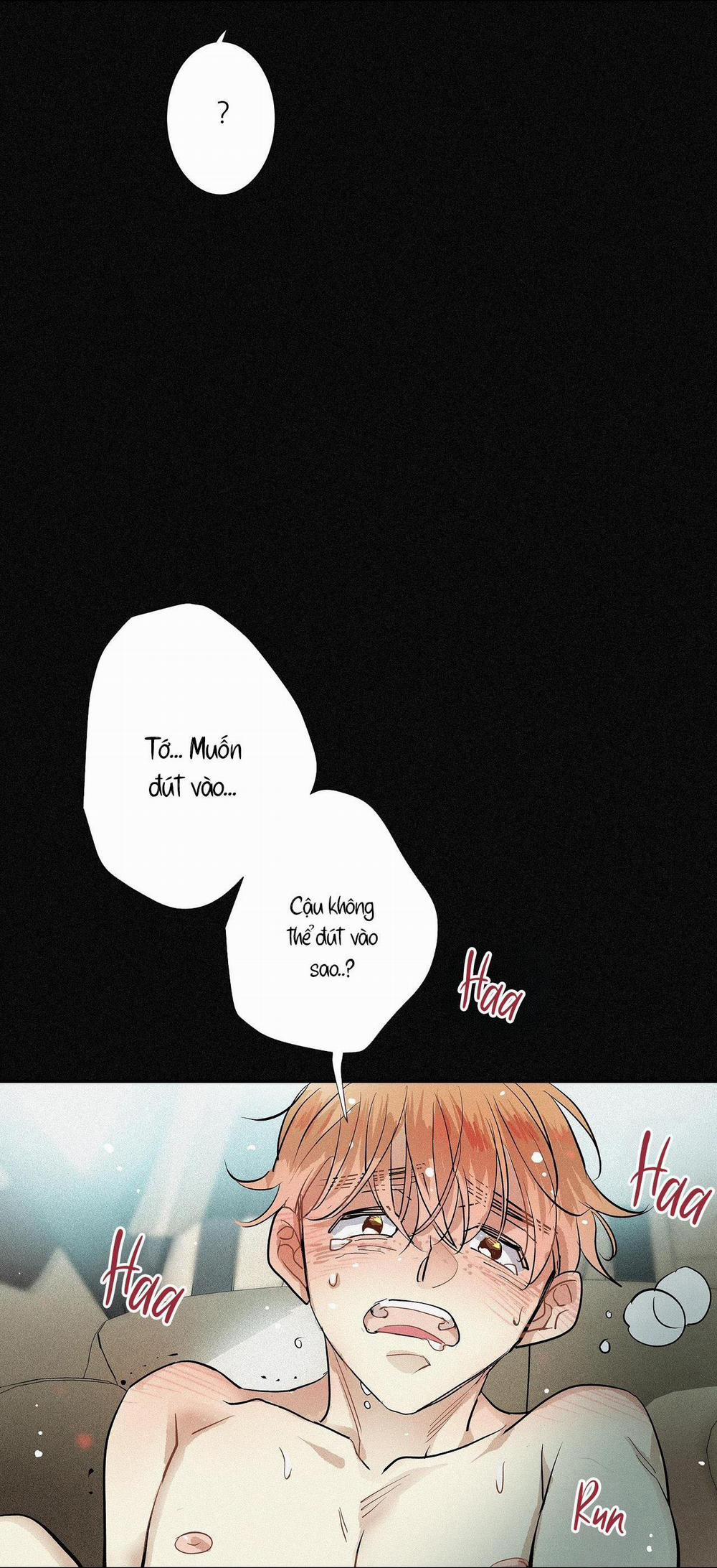 (Cbunu) Tình Yêu Và Danh Vọng 52 trang 12