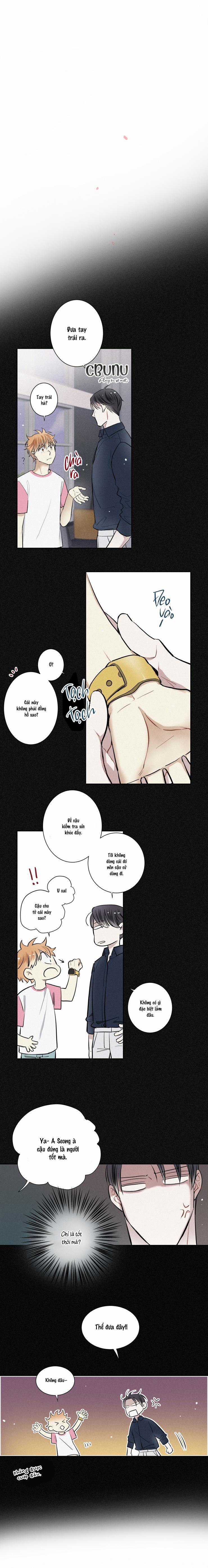 (Cbunu) Tình Yêu Và Danh Vọng 8 trang 6