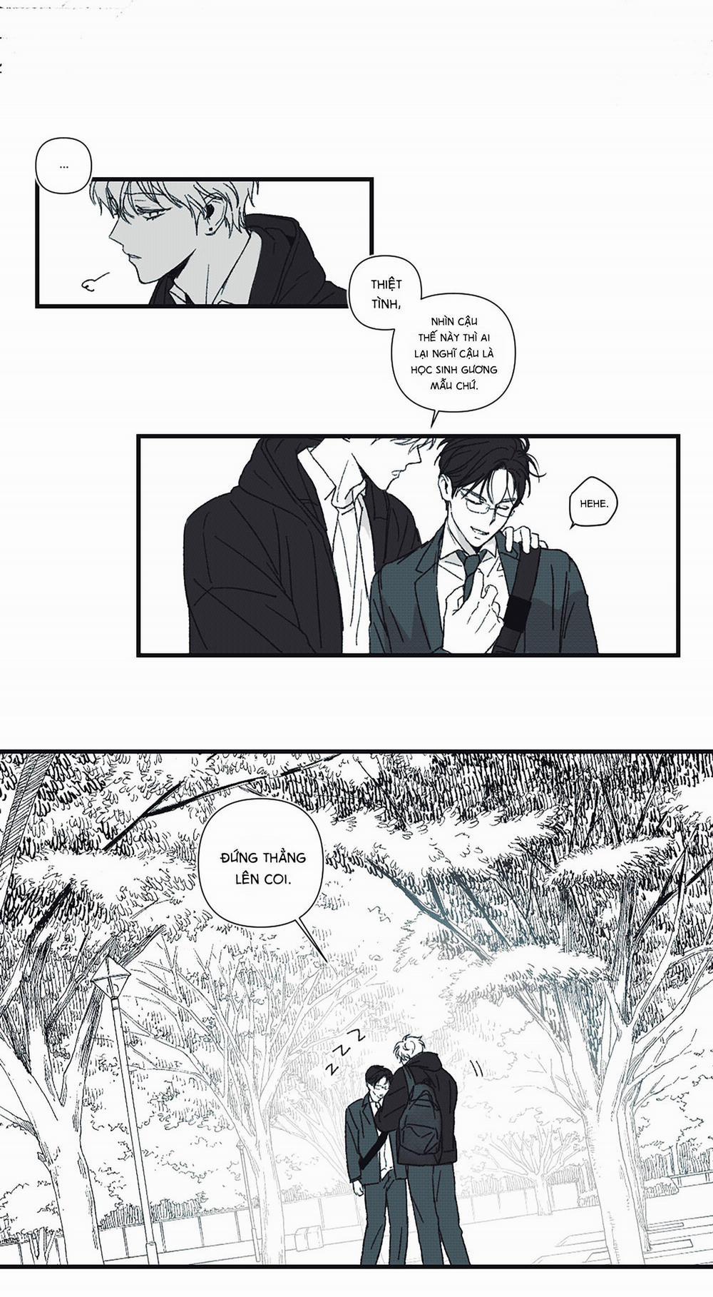 (Cbunu) Triagle And Circle 1 trang 8