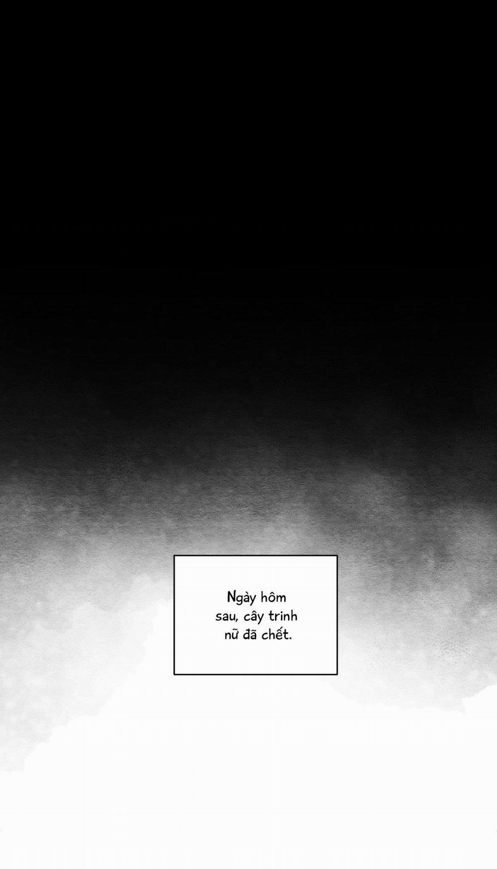 (CBunu) Vóc Dáng Toàn Mỹ 25 H+ trang 37