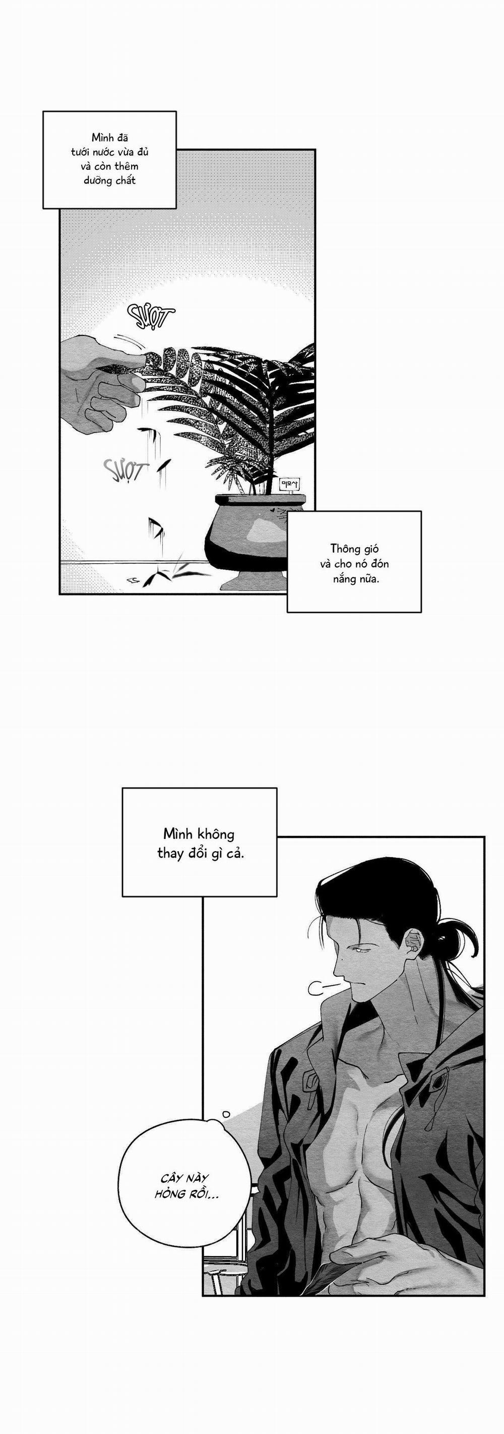 (CBunu) Vóc Dáng Toàn Mỹ 25 H+ trang 39