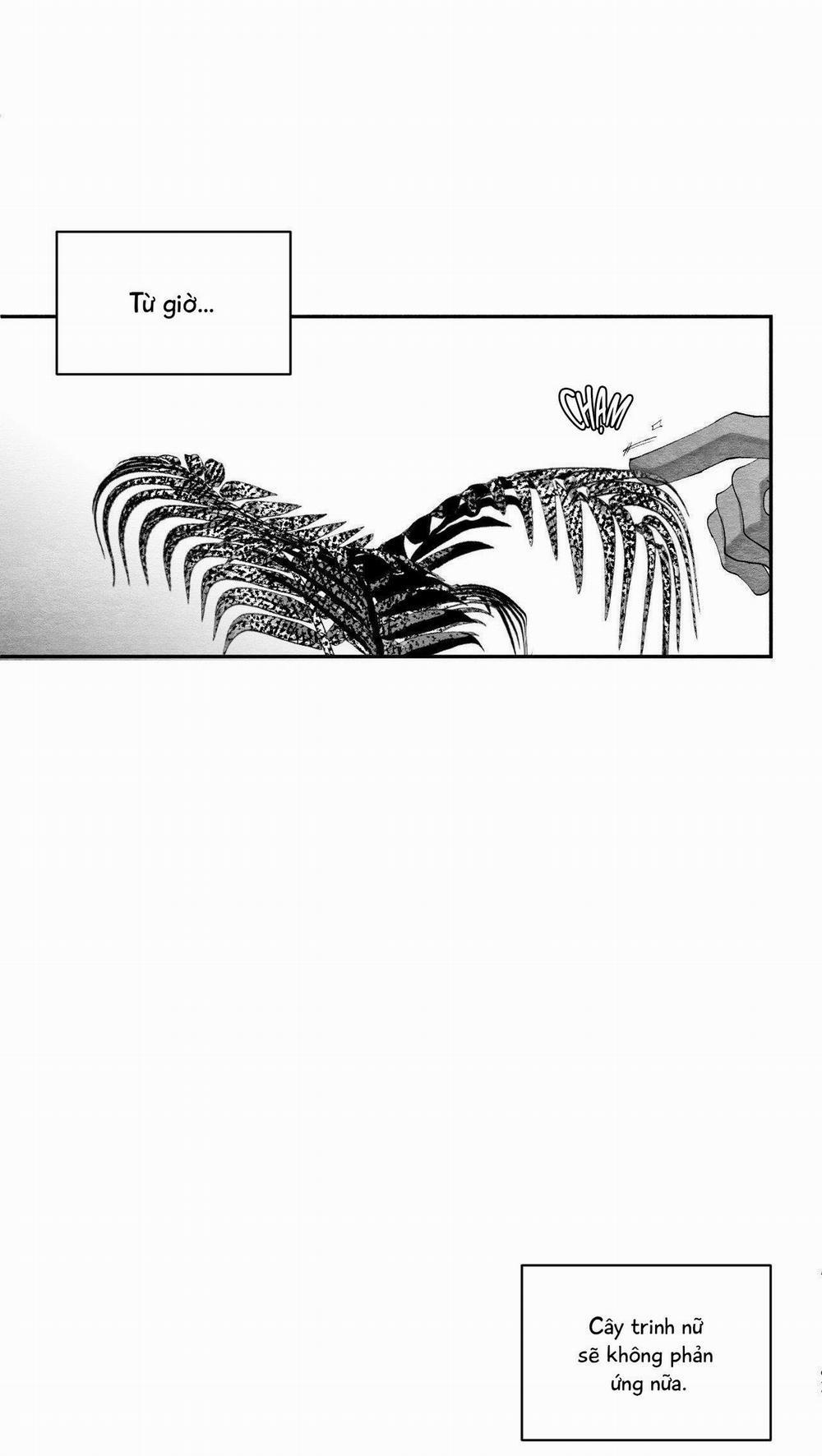 (CBunu) Vóc Dáng Toàn Mỹ 25 H+ trang 41