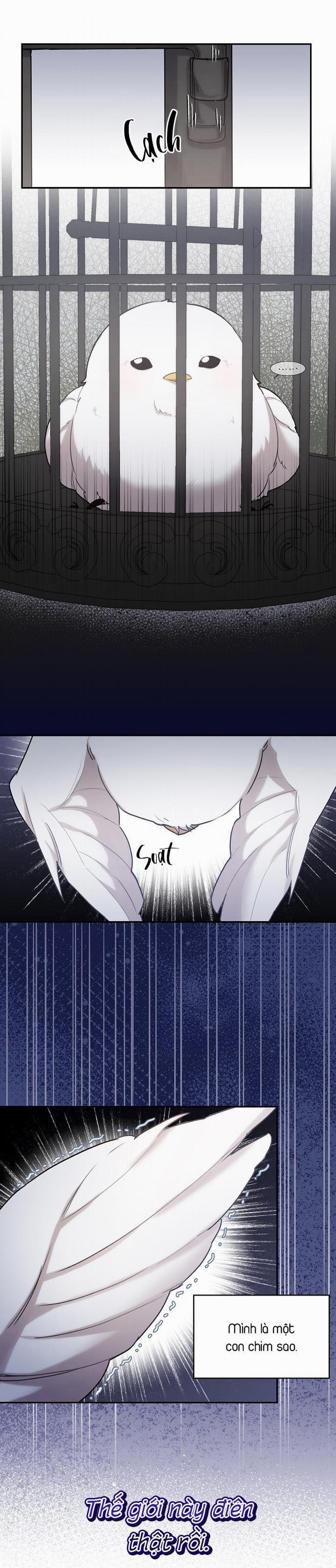 (Cbunu) Xin Người Đừng Nhấn 1 trang 29