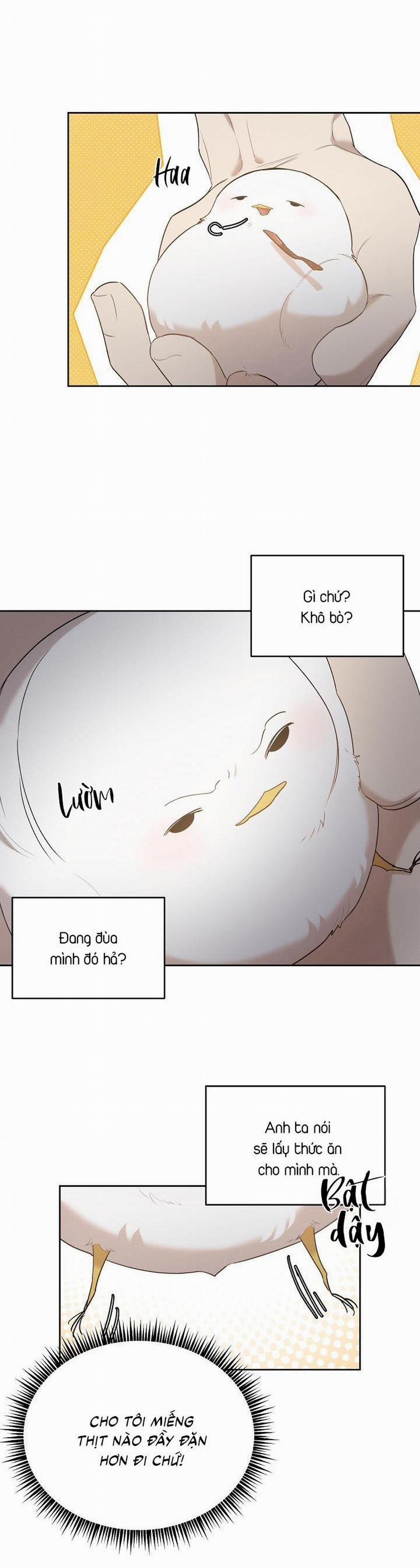 (Cbunu) Xin Người Đừng Nhấn 10 trang 1