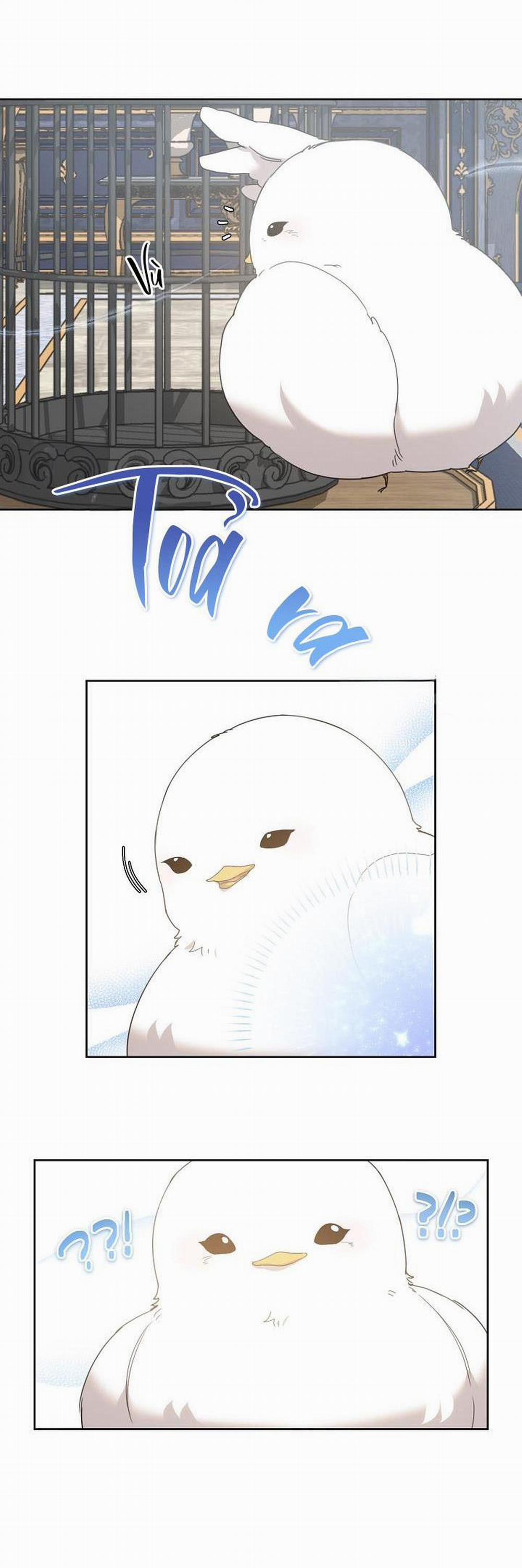 (Cbunu) Xin Người Đừng Nhấn 5 trang 16