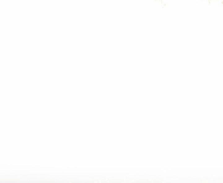 Cha, Con Không Muốn Kết Hôn! 111.1 trang 42