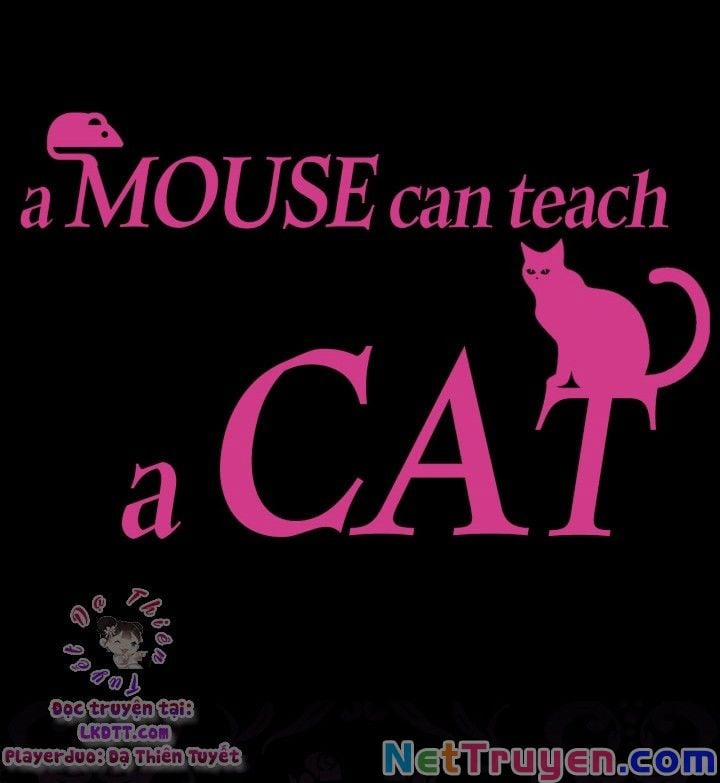 Cha, Con Không Muốn Kết Hôn! 38 trang 1