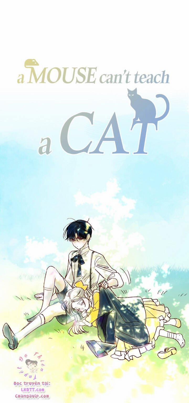 Cha, Con Không Muốn Kết Hôn! 39 trang 108