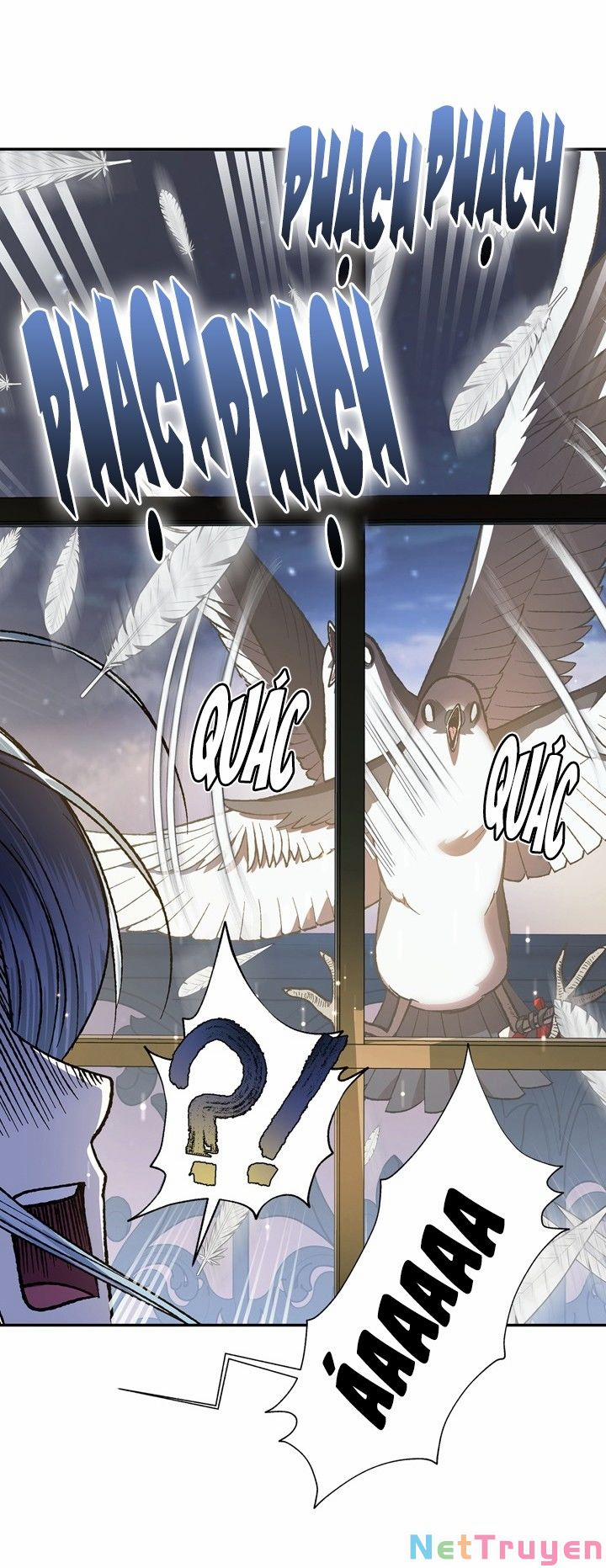 Cha, Con Không Muốn Kết Hôn! 47 trang 14