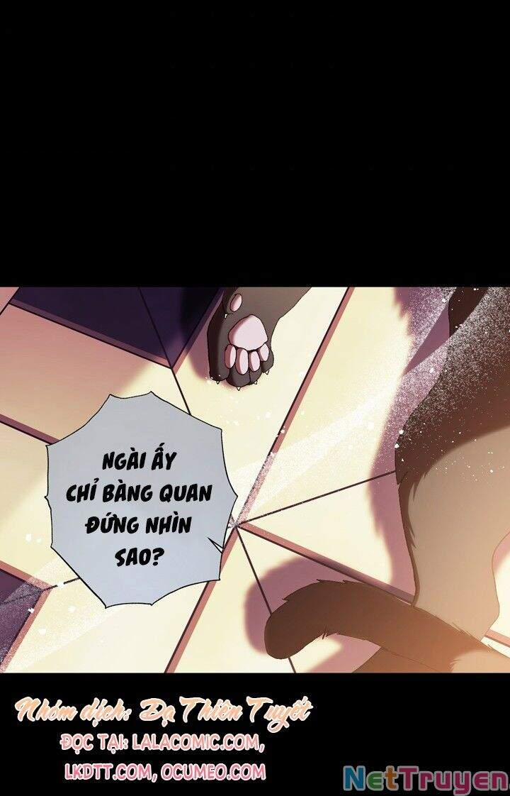 Cha, Con Không Muốn Kết Hôn! 49 trang 79