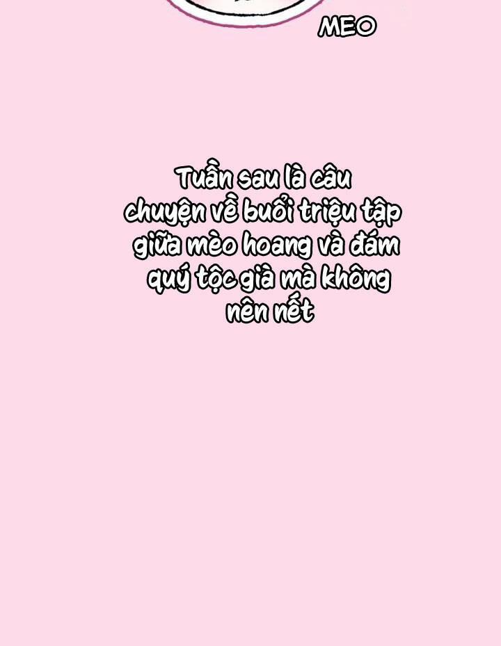 Cha Ơi Con Không Muốn Kết Hôn Đâu 103 trang 136