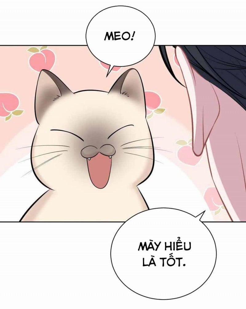 Cha Vợ Đại Nhân Là Bà Xã 103 trang 17