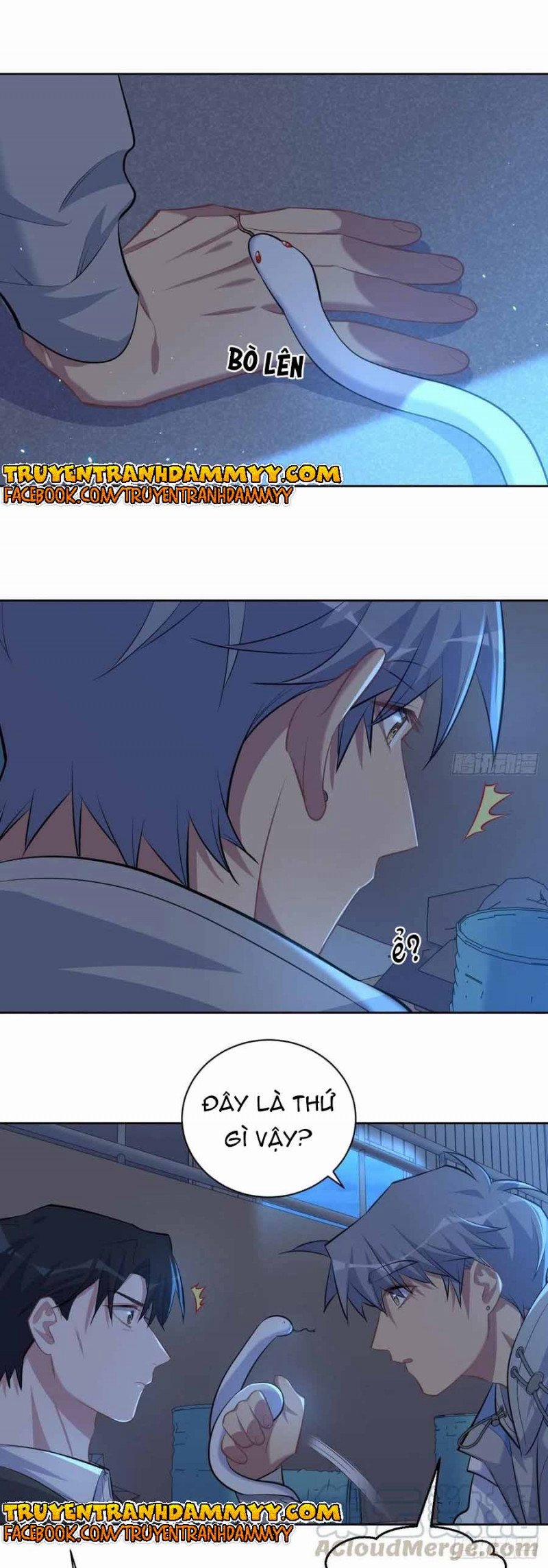 Cha Vợ Đại Nhân Là Bà Xã 105 trang 11