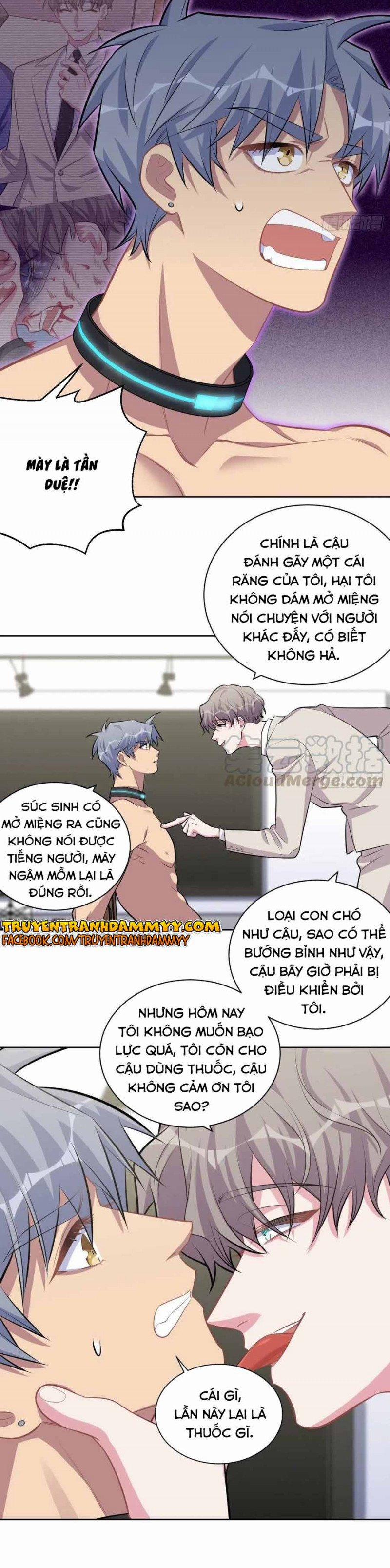 Cha Vợ Đại Nhân Là Bà Xã 125 trang 5