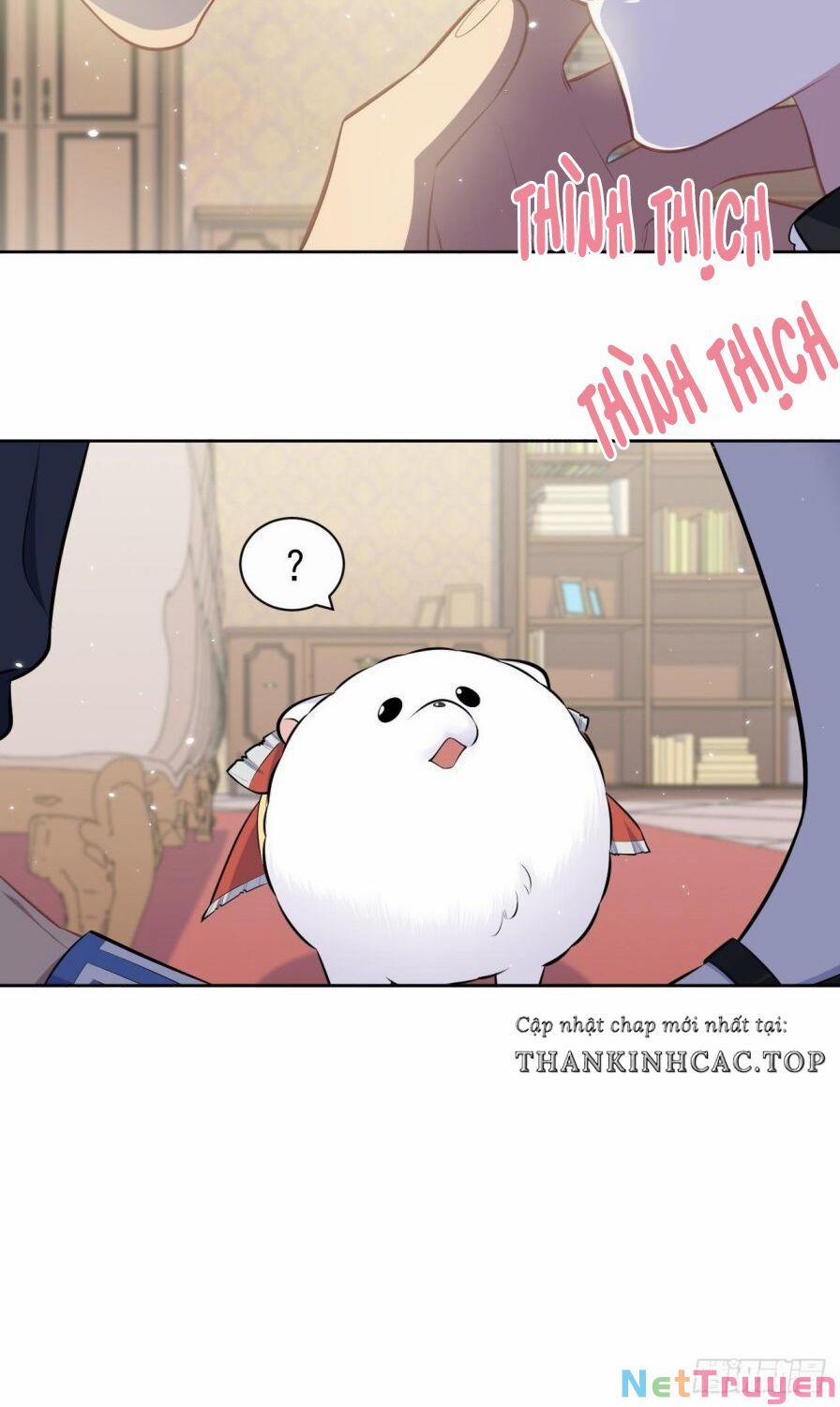 Cha Vợ Đại Nhân Là Bà Xã 139 trang 12