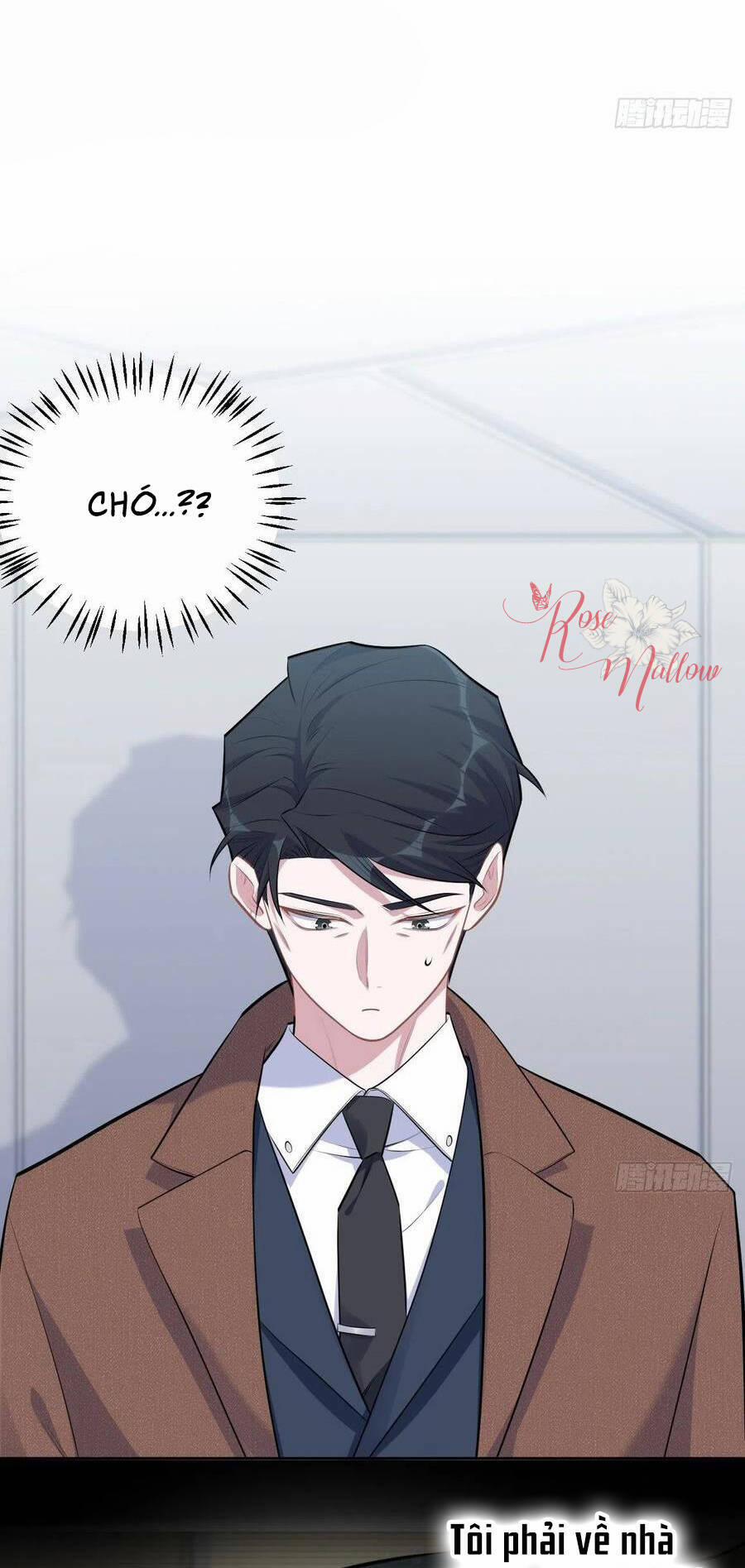 Cha Vợ Đại Nhân Là Bà Xã 164 trang 1