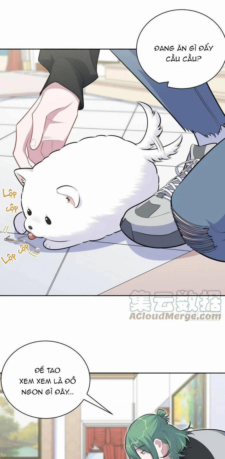 Cha Vợ Đại Nhân Là Bà Xã 168 trang 25