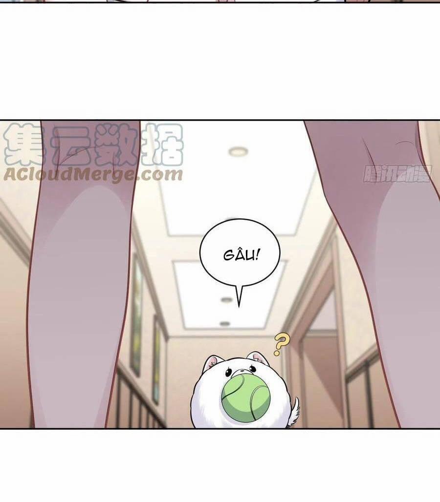 Cha Vợ Đại Nhân Là Bà Xã 171 trang 19